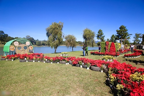 Festival hoa Đà Lạt 2015 đẹp rực rỡ độc đáo hấp dẫn cho kỳ nghỉ tết dương lịch 8