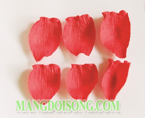 Hướng dẫn cách làm hoa Tulip handmade cho cung Bạch Dương ngọt ngào đơn giản và đẹp nhất rất ý nghĩa cho 12 cung hoàng đạo 4