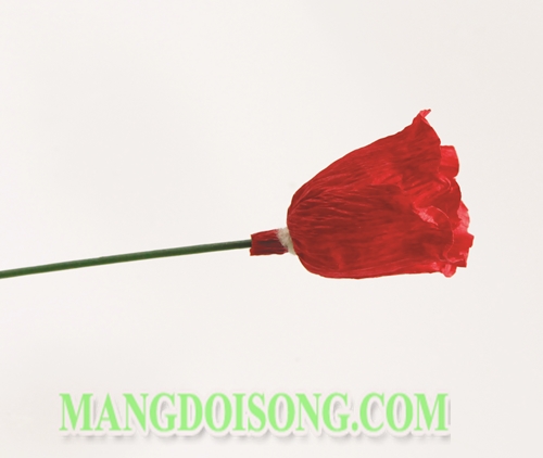 Hướng dẫn cách làm hoa Tulip handmade cho cung Bạch Dương ngọt ngào đơn giản và đẹp nhất rất ý nghĩa cho 12 cung hoàng đạo 6