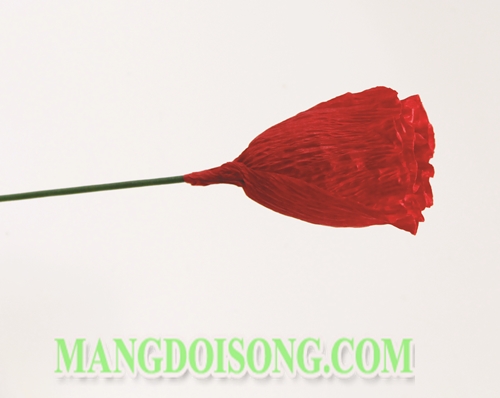 Hướng dẫn cách làm hoa Tulip handmade cho cung Bạch Dương ngọt ngào đơn giản và đẹp nhất rất ý nghĩa cho 12 cung hoàng đạo 7