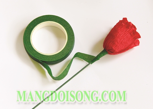 Hướng dẫn cách làm hoa Tulip handmade cho cung Bạch Dương ngọt ngào đơn giản và đẹp nhất rất ý nghĩa cho 12 cung hoàng đạo 8