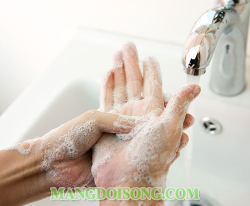 Hướng dẫn cách sử dụng nhà vệ sinh đúng cách khoa học nhất cho mọi người 2
