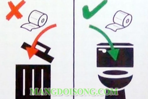 Hướng dẫn cách sử dụng nhà vệ sinh đúng cách khoa học nhất cho mọi người 4