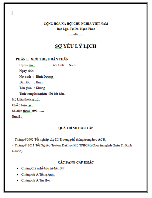 Mẫu CV xin việc hay ấn tượng thu hút nhà tuyển dụng 8
