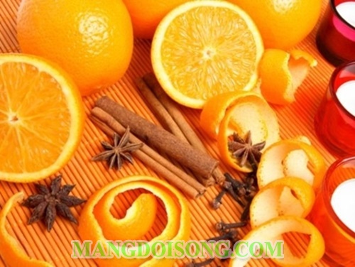 Cách đuổi muỗi bằng tỏi ra khỏi phòng tại nhà đơn giản mà hiệu quả nhất không dùng hóa chất 1