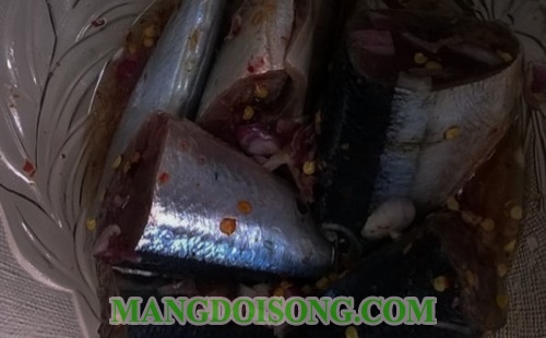 Cách kho cá thu nhật ngon với cà chua đậm đà cho bữa cơm gia đình 2