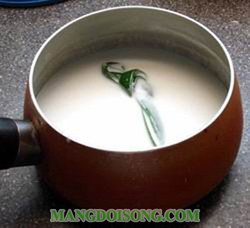 Cách làm bánh lọt nước cốt dừa hương lá dứa thơm ngon tươi mát cho ngày hè 9