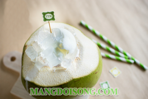 Cách làm bingsu rau câu trái dừa ngon mát cho ngày nóng trời 10