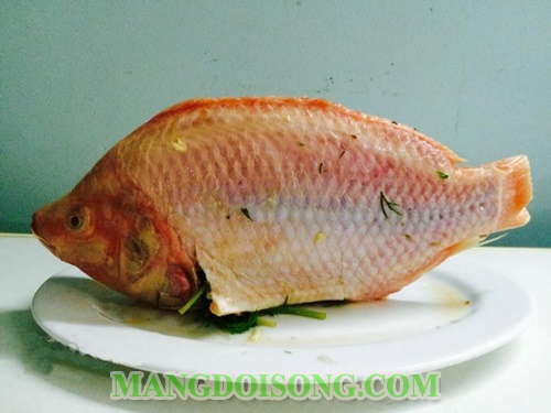 Cách làm cá diêu hồng hấp bia thơm ngon bắt mắt cho bữa tiệc cuối tuần 5