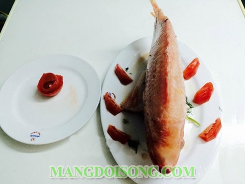 Cách làm cá diêu hồng hấp bia thơm ngon bắt mắt cho bữa tiệc cuối tuần 6