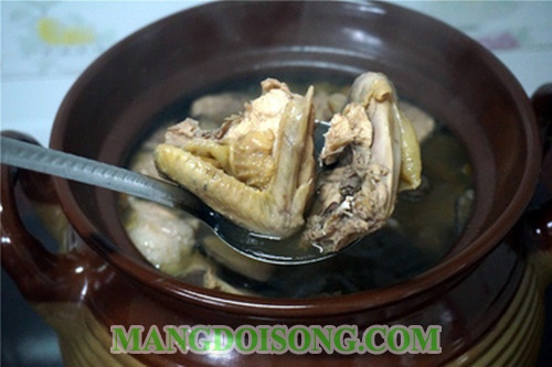 Cách làm gà hầm thuốc bắc ngon cho bà bầu bà đẻ đơn giản tại nhà 5