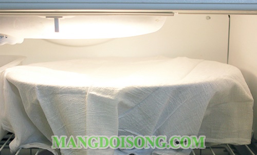 Cách làm kem dừa thái ngon đơn giản tại nhà dùng làm món tráng miệng ngon cho ngày hè 4