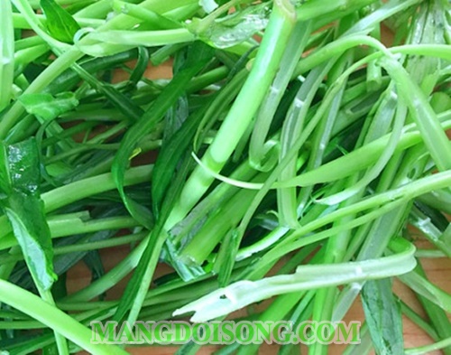 Cách làm miến trộn chay ngon đơn giản tại nhà cho ngày rằm thanh tịnh 6