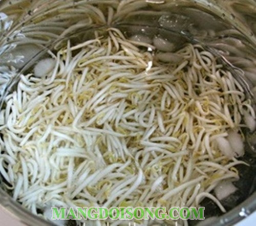 Cách làm nộm giá đỗ hàn quốc ngon đơn giản tại nhà cho tháng ăn chay 2