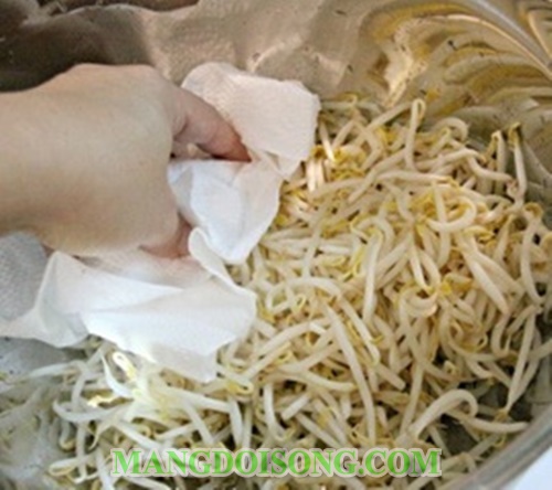 Cách làm nộm giá đỗ hàn quốc ngon đơn giản tại nhà cho tháng ăn chay 4