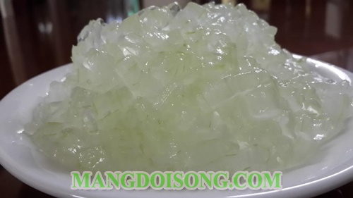 Cách làm nước nha đam tại nhà ngon không đắng giúp đẹp da dáng chuẩn 5