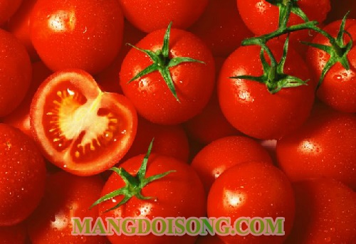 Cách làm sinh tố cà chua ngon mát cho bà bầu cho bé 1