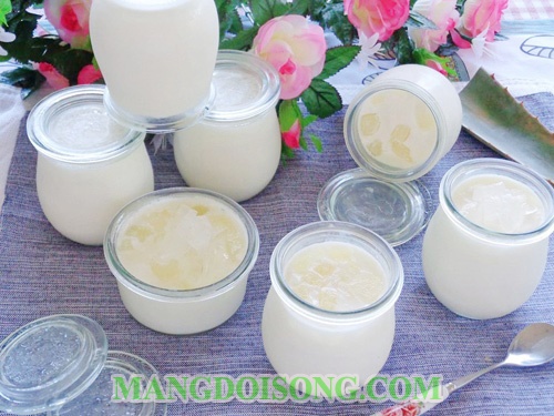 Cách làm sữa chua dẻo nha đam ngon tươi mát đẹp da cho ngày hè 13