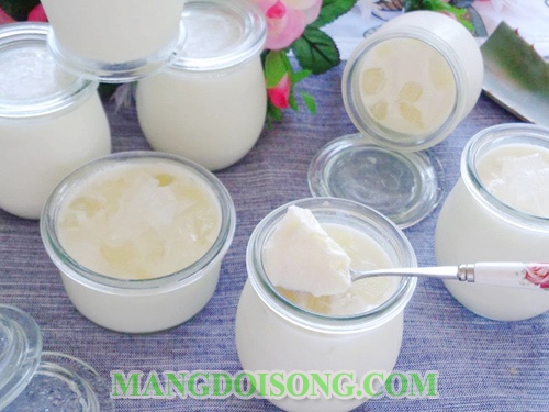 Cách làm sữa chua dẻo nha đam ngon tươi mát đẹp da cho ngày hè 14