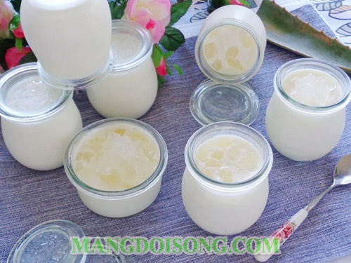 Cách làm sữa chua dẻo nha đam ngon tươi mát đẹp da cho ngày hè 15