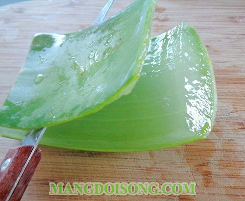 Cách làm sữa chua dẻo nha đam ngon tươi mát đẹp da cho ngày hè 2