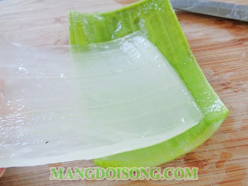 Cách làm sữa chua dẻo nha đam ngon tươi mát đẹp da cho ngày hè 3