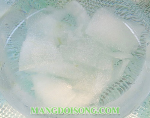 Cách làm sữa chua dẻo nha đam ngon tươi mát đẹp da cho ngày hè 4