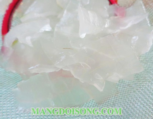 Cách làm sữa chua dẻo nha đam ngon tươi mát đẹp da cho ngày hè 5