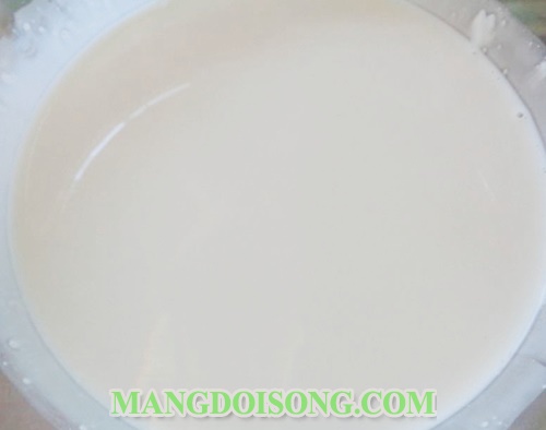 Cách làm sữa chua dẻo nha đam ngon tươi mát đẹp da cho ngày hè 9