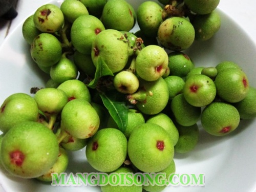 Cách làm sung muối xổi ngon chua giòn cho ngày tết sung túc cả năm 1