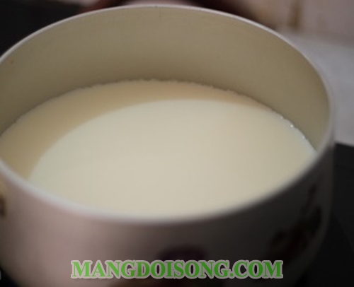 Cách làm tào phớ hạt sen ngon giải cảm khi chuyển thu 3
