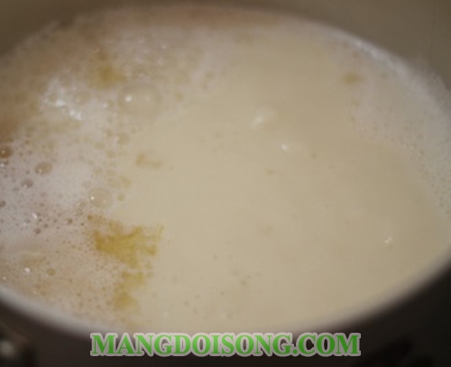 Cách làm tào phớ hạt sen ngon giải cảm khi chuyển thu 4