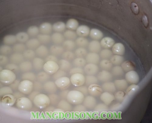 Cách làm tào phớ hạt sen ngon giải cảm khi chuyển thu 7