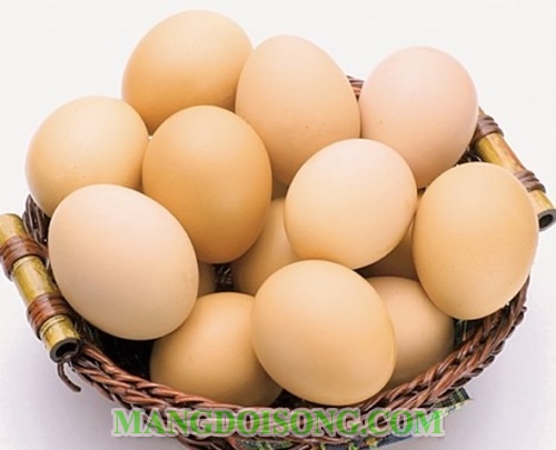 Cách làm trứng nướng sài gòn thái lan ngon đơn giản an toàn tại nhà 1