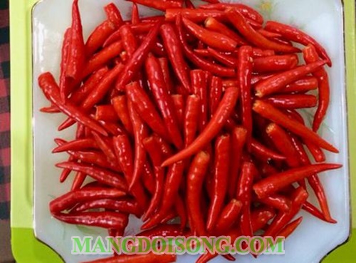 Cách làm tương ớt xay Hà Nội tại nhà thơm ngon hấp dẫn 2