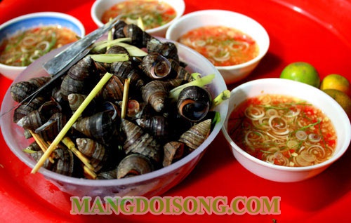 Cách luộc ốc ngon cách pha nước chấm ốc ngon như nhà hàng đảm bảo ăn vào là ghiền 5