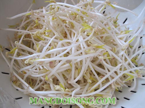 Cách nấu canh chua cá hú ngon mát cho cả nhà giải nhiệt mùa hè theo công thức người miền tây 5