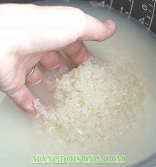 Cách nấu cơm ngon dẻo bằng nồi cơm điện đơn giản tại nhà và một số mẹo vặt cần xử lý khi nấu cơm 2