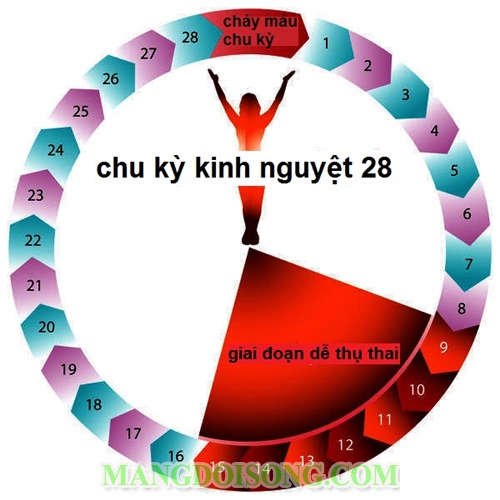 Cách tính ngày rụng trứng để sinh con trai con gái theo ý muốn chính xác nhất' 3