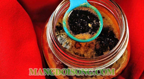 Cách trị ho hiệu quả nhanh nhất đơn giản tại nhà từ gừng chanh mật ong ngày giao mùa 11
