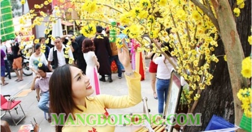 Địa điểm đi chơi tết dương lịch 2017 ấn tượng thú vị hấp dẫn nhất tại Sài Gòn - Miền bắc 3