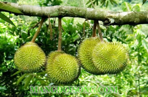 Địa điểm vui chơi ở Sài Gòn - Hà Nội ngày Quốc Tế Thiếu Nhi cha mẹ nên dẫn bé đi lý tưởng thú vị nhất 2