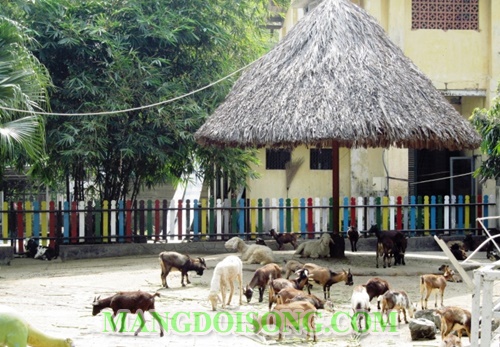 Địa điểm vui chơi ở Sài Gòn - Hà Nội ngày Quốc Tế Thiếu Nhi cha mẹ nên dẫn bé đi lý tưởng thú vị nhất 8