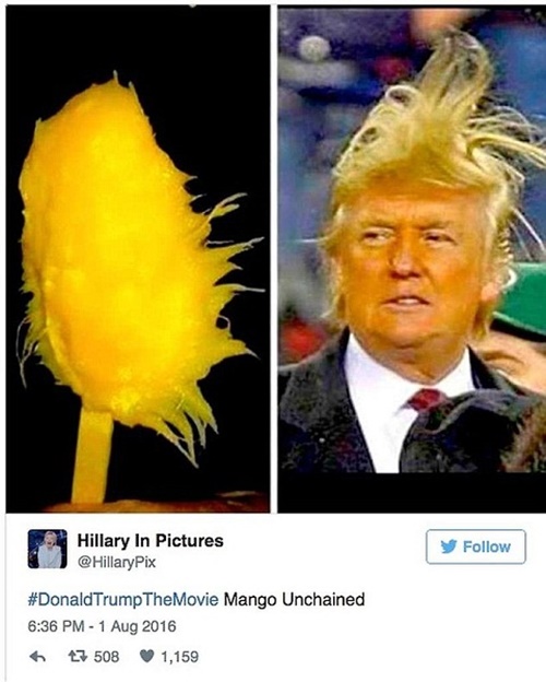 Hình chế Donald Trump tân tổng thống mỹ đang sốt trên các trang mạng xã hội 12