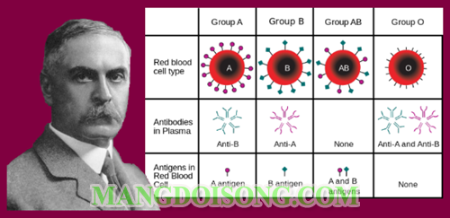 Karl Landsteiner được Doodle của Google đặt làm hình ảnh động trên trang chủ nhân dịp kỷ niệm kỷ niệm 148 năm ngày sinh của ông 2