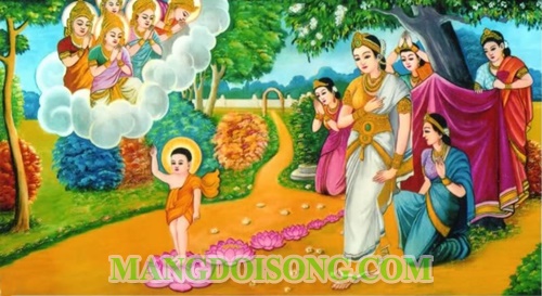 Lễ phật đản 2016 ngày mấy - Phật lịch 2560 chùa hoằng pháp 2