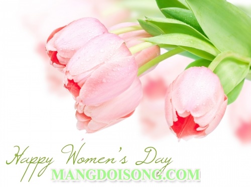 Lời chúc 8/3 ý nghĩa hay nhất tặng mẹ - vợ - người yêu - bà - cô dì - chị em gái - cô giáo - bạn bè tuyển chọn 2016 13