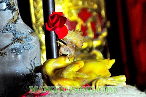 Năm Đinh Dậu cúng gì - Có nên cúng gà đêm giao thừa không - Ý nghĩa của việc cúng gà 4