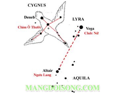 Ngày ngưu lang chức nữ gặp nhau 7/7 âm lịch hay còn gọi là ngày thất tịch 2016 5