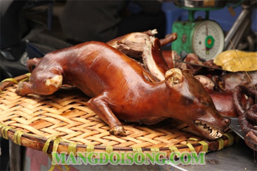 Những điều kiêng kị ngày tết - Những điều nên làm trong ngày tết ai cũng cần phải biết 14
